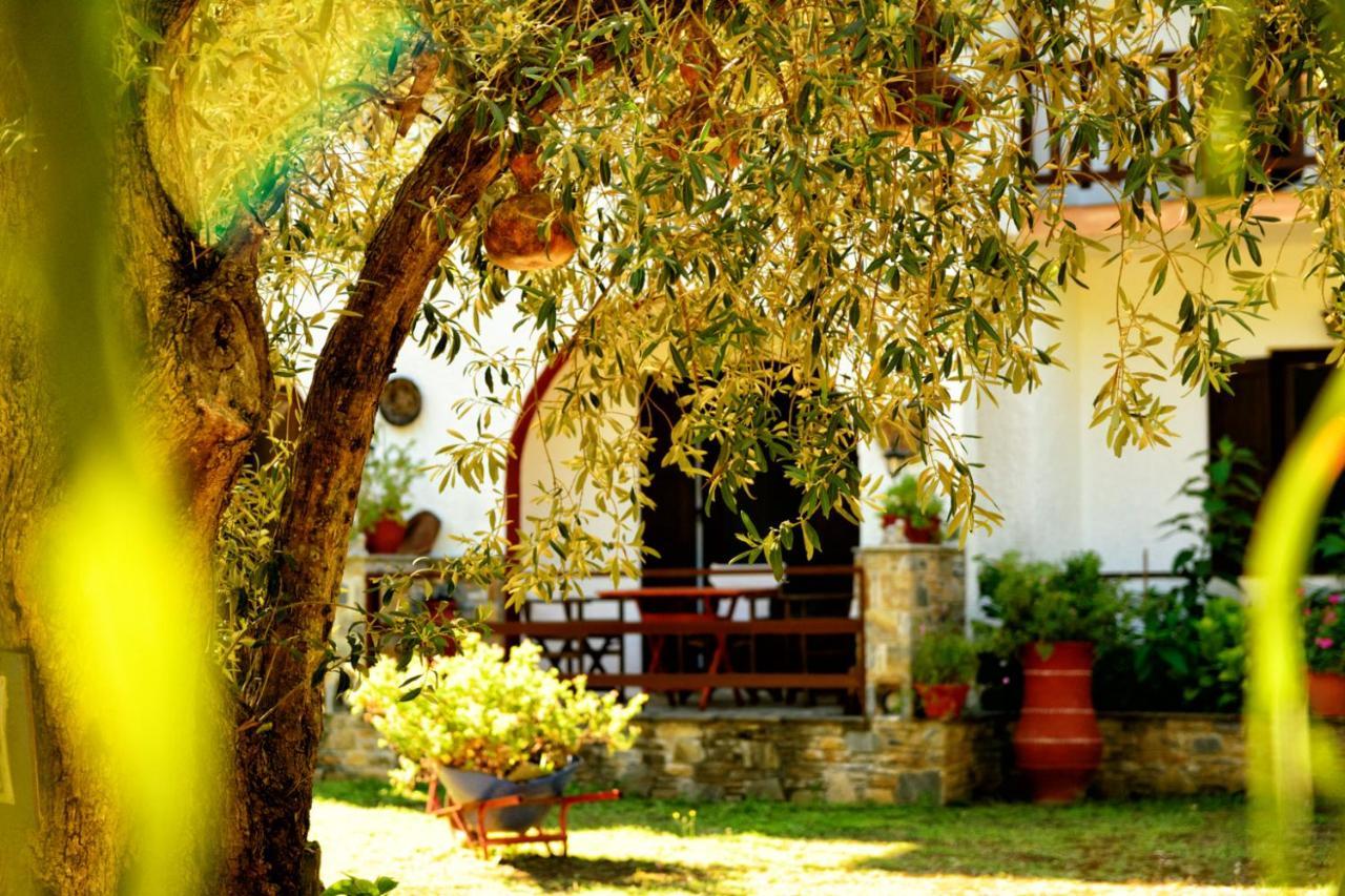 Spiros Rooms Panormos  Exterior foto